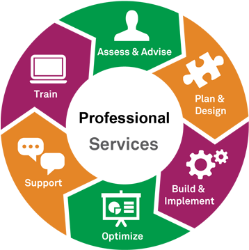 Professional Services And Support - Professional Services Vs Consulting (555x368)