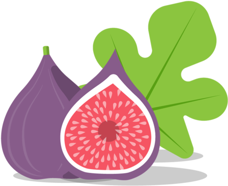The Story Of Figs - Illustration (480x428)