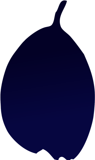 Small Blue Leaf - Vegetable (364x560)