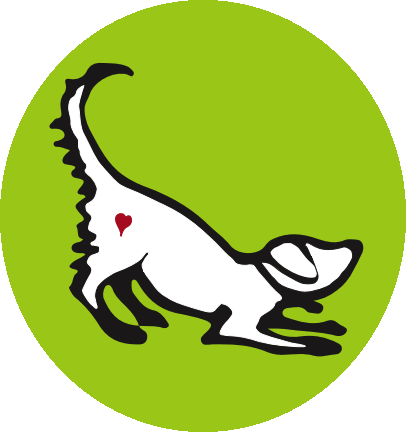 Dog Walking Pontcanna - Walking (406x432)
