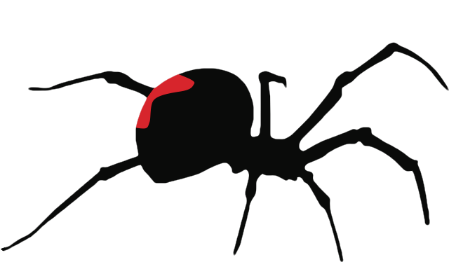 Black Widow - Black Widow (640x480)