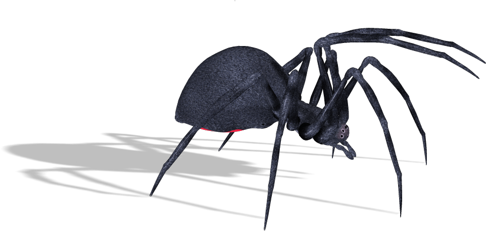 Spider (1026x530)