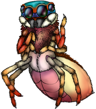 Pastel Widow Spider Sold To Realspiders - Cartoon (336x400)
