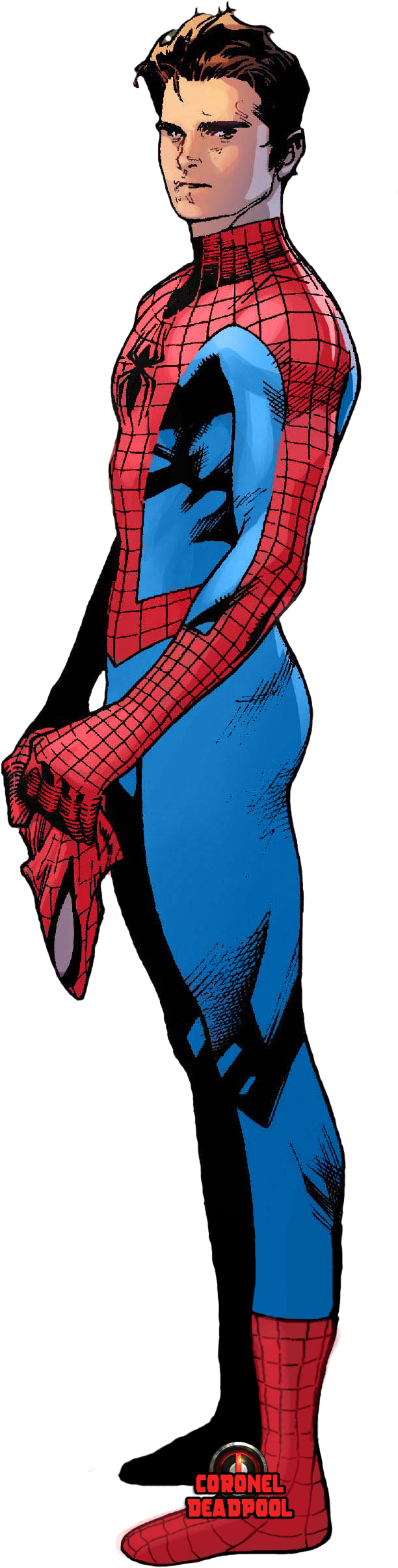 Ultimate Spider-man Png By Thesuperiorxaviruiz On Deviantart - Peter Parker Spider Verse (658x2516)