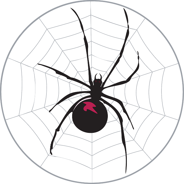 Black, Spider, Web, Widow, Legs, Arachnid - Free Black And White Clip Art Black Widow (640x640)