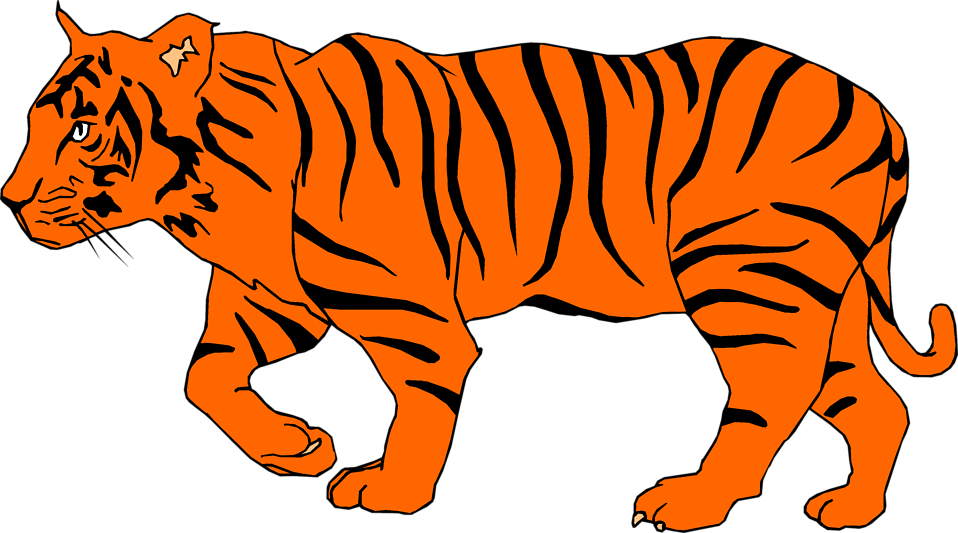 Tigers Tiger Clipart No Background - Transparent Background Tiger Clipart (958x533)