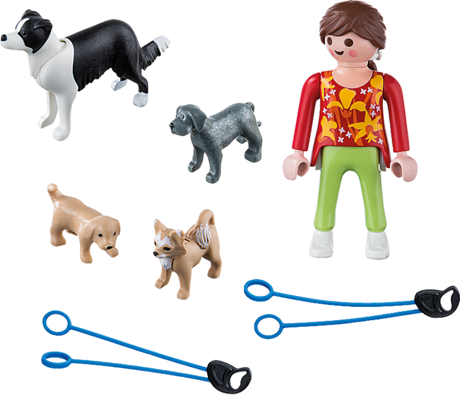 Vancouver Hot Diggity Pet Sitting Dog Walking - Playmobil 5380 Dog Walker (2000x1400)