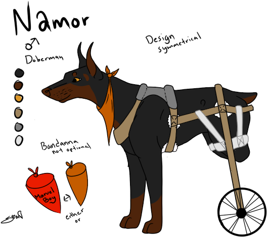 Happy Go Lucky Kind Of Guy, Loves Being Around Others, - Companion Dog (572x479)