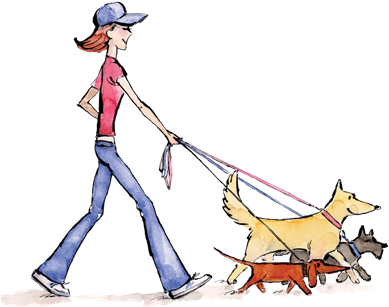 Loose Leash Dog Walking Service Newlands Johnsonville - Dog Walking (391x315)