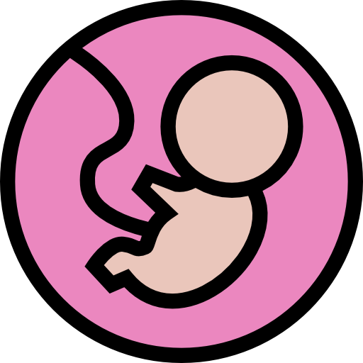 Fetus Free Icon - Fetus Transparent Background (512x512)