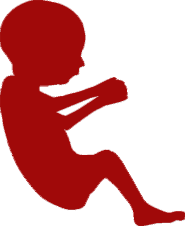 Fetus-baby - Fetus Silhouette (368x450)