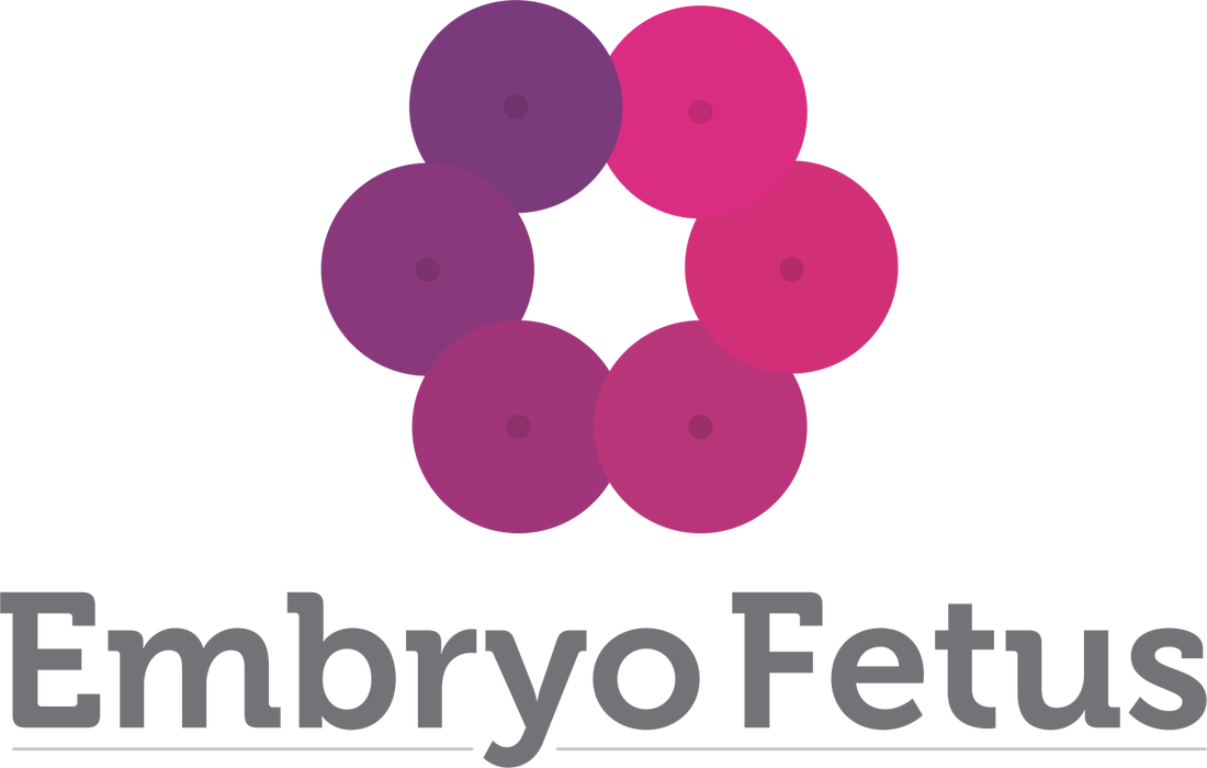 Site Desenvolvido Pelo Weebly - Circle (1100x700)