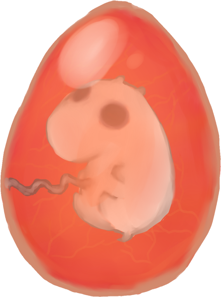 Moomin Fetus/egg By Hickepop - Mouse (1024x1219)