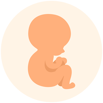 Letter Smart Fetus Answers - Down Steal This Album (362x362)