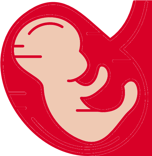 Image - Circle (512x512)