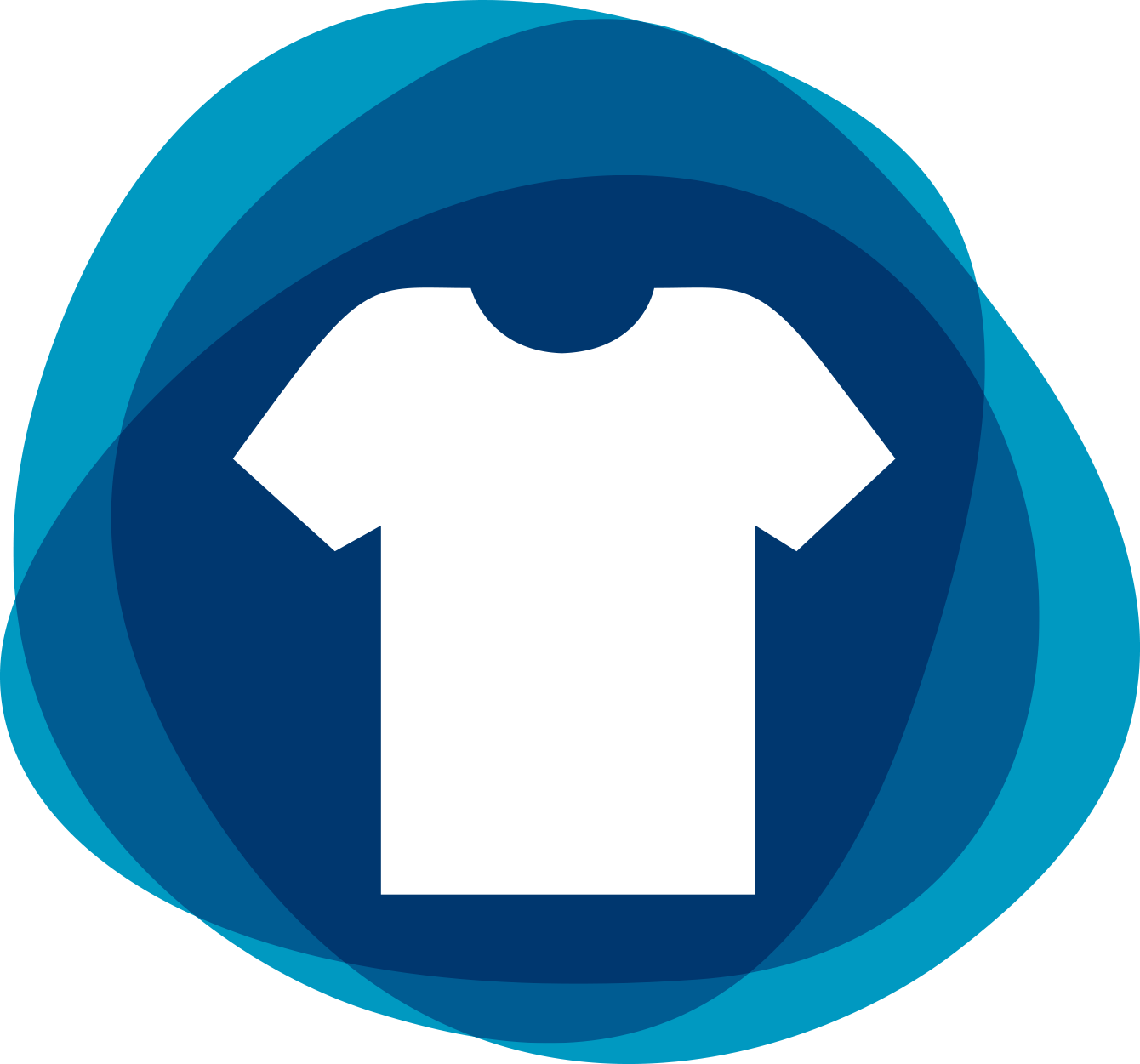 Blank Bulk T Shirts And Screen Printing West Auckland - Money Blue Icon Png (1340x1251)