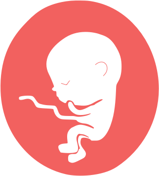Fetus Stickers Messages Sticker-8 - Mail Icon (400x400)