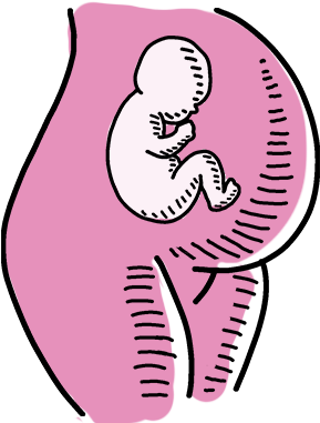 Illustration Of Pregnant Woman With Fetus Inside - Fetus (400x400)