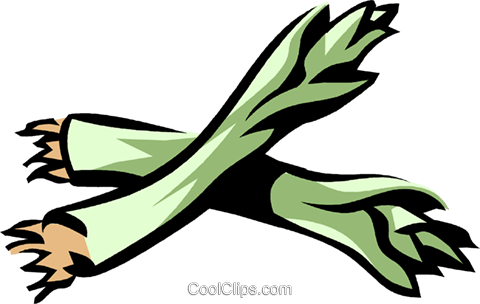Leeks Royalty Free Vector Clip Art Illustration - Leeks Royalty Free Vector Clip Art Illustration (480x304)