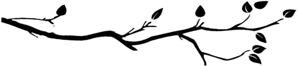 2018, Online Amish Canada - 2018, Online Amish Canada (1000x230)