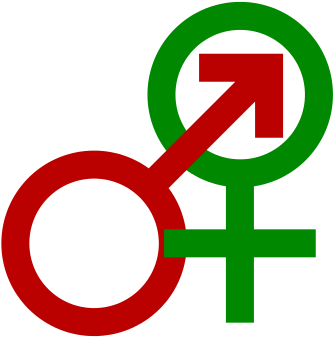 A Usc Doctoral Student At The School Of Social Work - Sexuality (350x350)