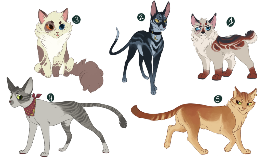 Warrior Cat Coloring Pages - Warriors (1153x692)