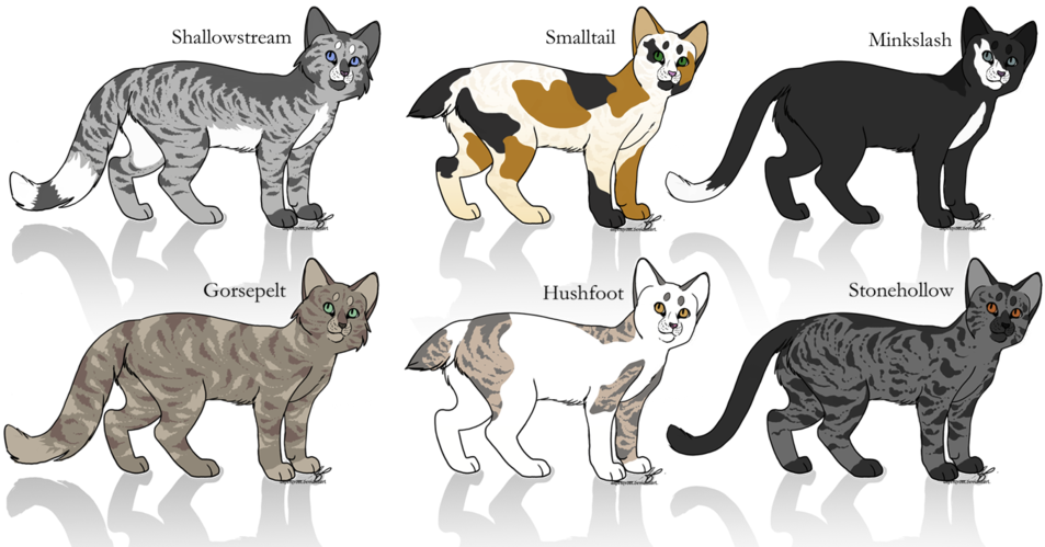 Closed Books Coloring Pages - Turtle Cat Color (1024x525)