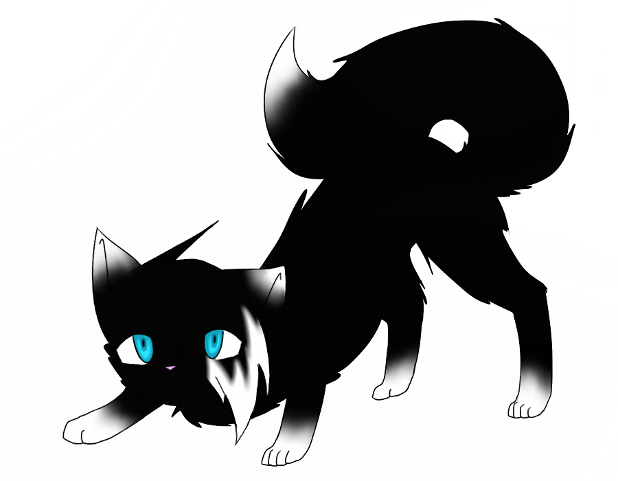 Warrior Cats Black Oc (900x700)