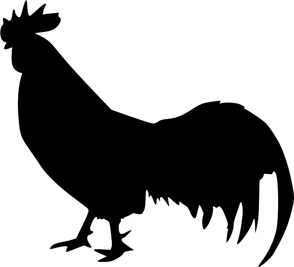 Png File Svg - El Pukupuku Y El Gallo (981x892)