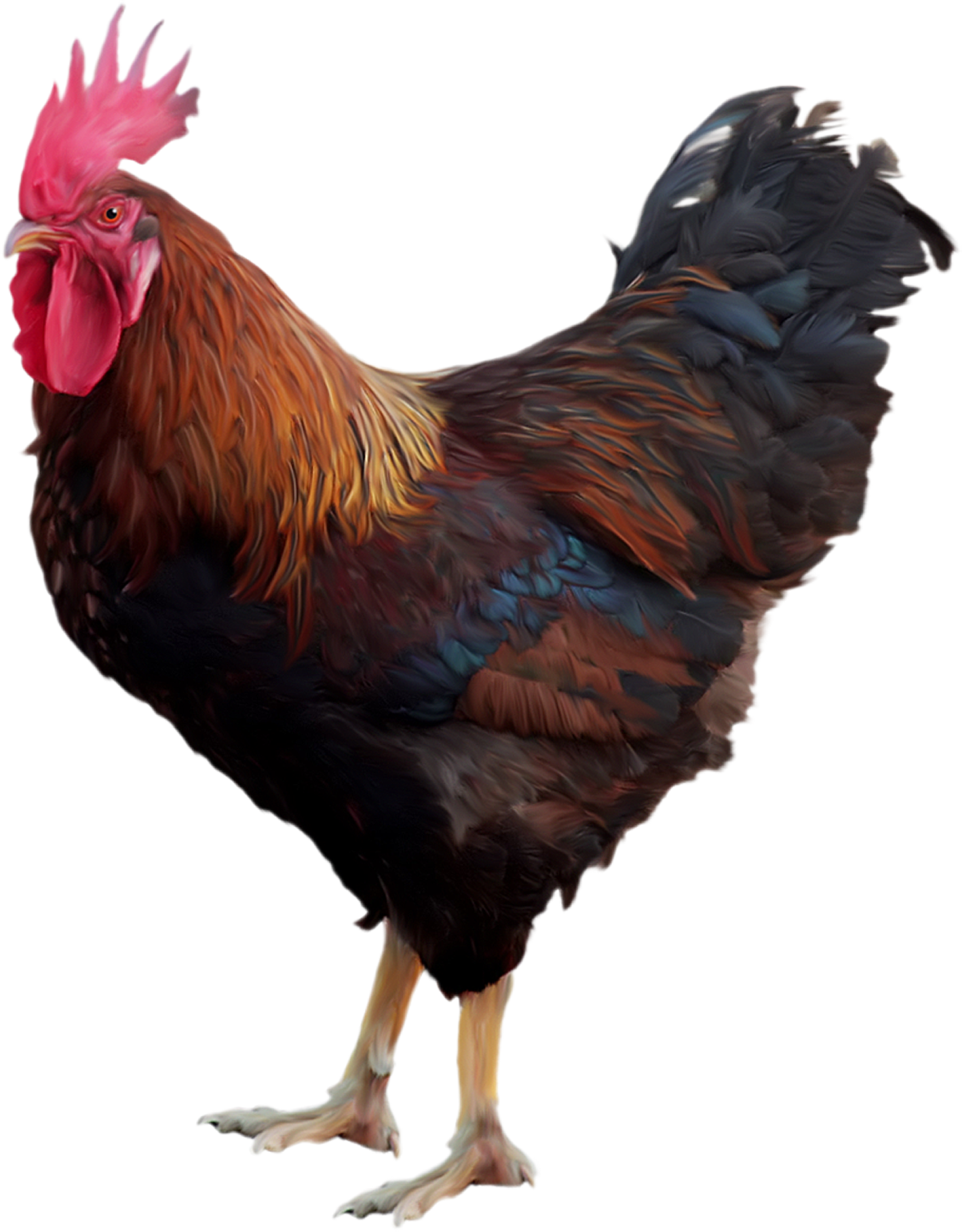 Chicken Rooster Clip Art - Cock Png (1226x1570)