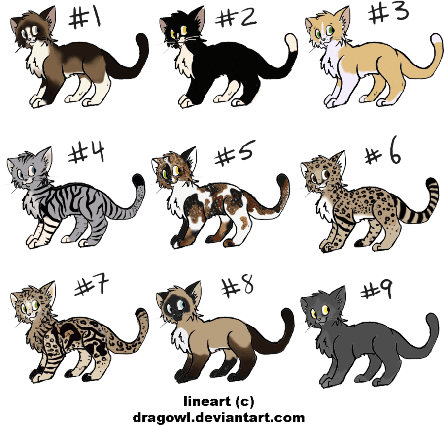Cat Adoptable Bases (900x900)
