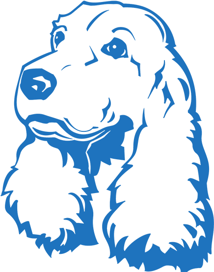 Cockerspaniel - Cockerspaniel - Cockerspaniel - Cockerspaniel - Cocker Spaniel Desenho (600x720)