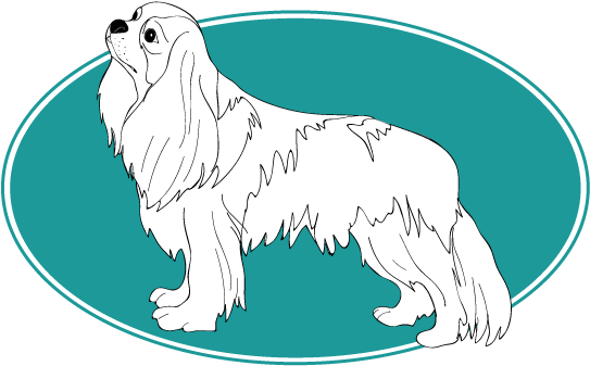 Le Cavalier King Charles Spaniel - Bearded Collie (754x394)