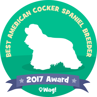 Dog Walking & Boarding - Dog Breed (400x400)