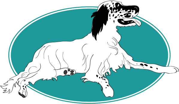 Le Cocker Spaniel Anglais Est Un Chien De Chasse Dit - Dog Catches Something (754x394)