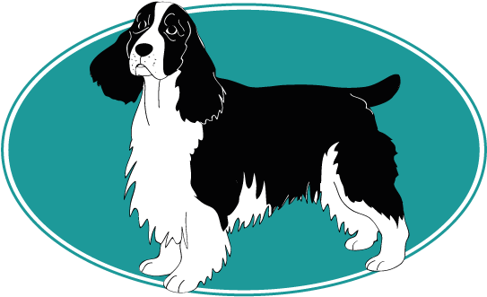 Assur O'poil, Assurance Chien Vous Parle Du English - English Cocker Spaniel (754x394)