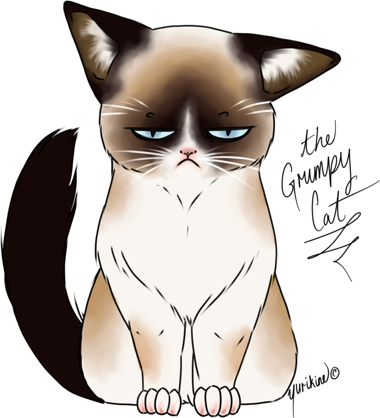 Drawn Grumpy Cat Digital - Cute Grumpy Cat Drawings (828x966)