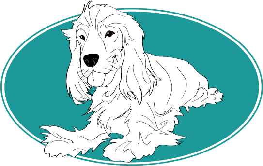 Le Cocker Spaniel Anglais Assuropoil - Afghan Hound (754x394)