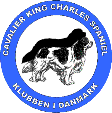 Denmark's Cavalier King Charles Spaniel Club - Cavalier King Charles Spaniel (372x374)