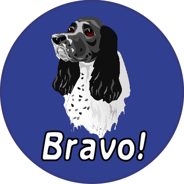 English-setter,png.png Shower Curtain (370x370)