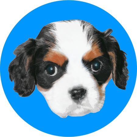 The Puppy Showroom (450x450)