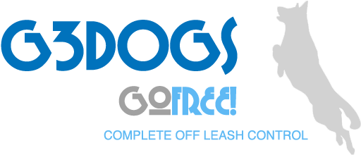 Back Home Back Home - Leash (589x236)