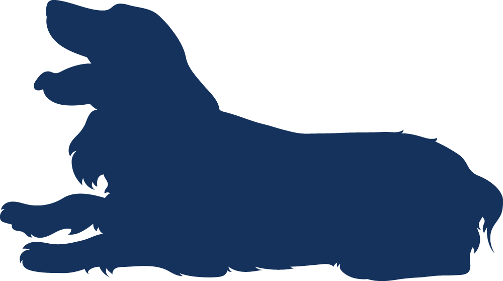 Special Occasions - Special Occasions (1000x558)