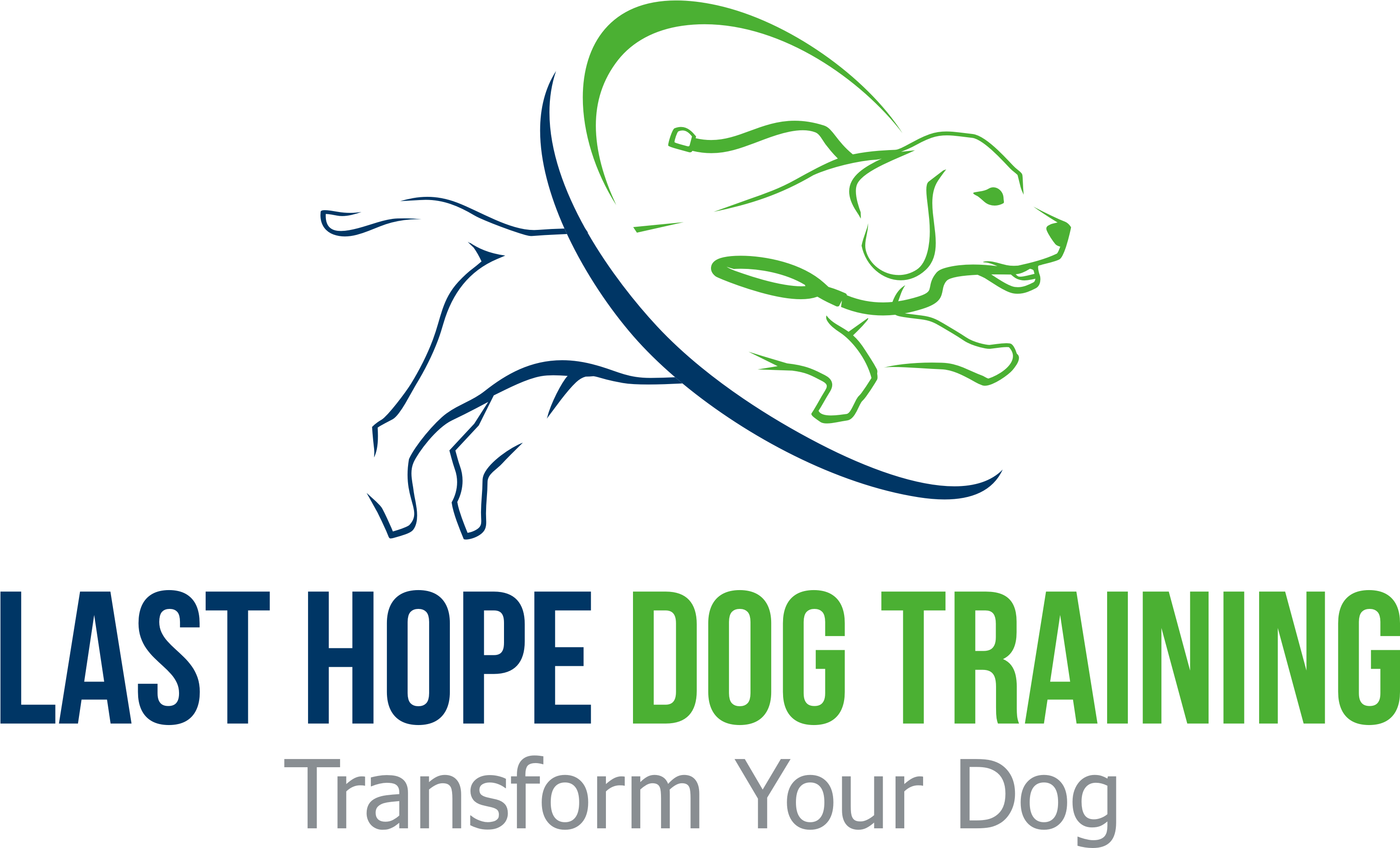 Last Hope Dog Training - Dog Training (3594x2396)