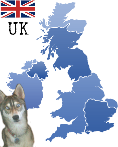 #2 Cocker Spaniel #3 Springer Spaniel #4 German Shepherd - Warrington On Uk Map (398x491)