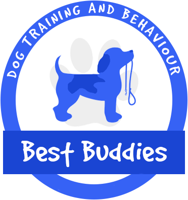 Crate Training, Handling Your Puppy, Toilet Training, - Blast Off!: A Numbers Books [book] (372x395)