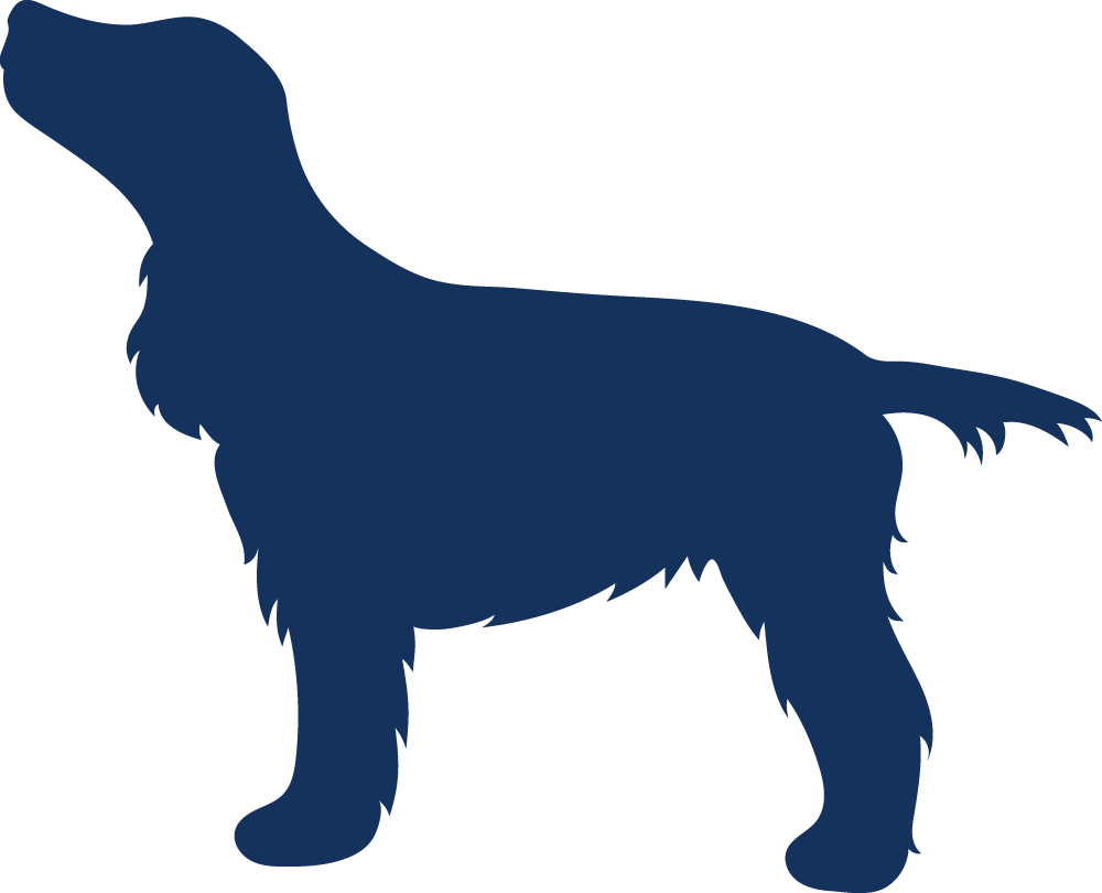 Special Occasions - Companion Dog (1000x810)