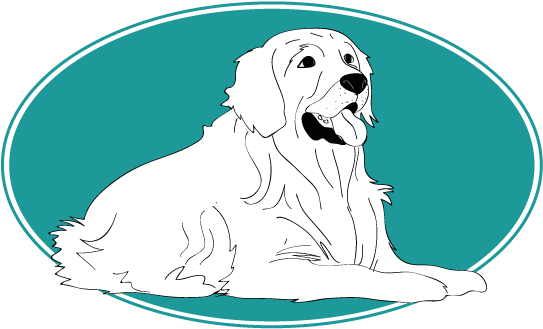 Assur O'poil, Assurance Chien Vous Parle Du English - Creekstone Farms Premium Beef (754x394)