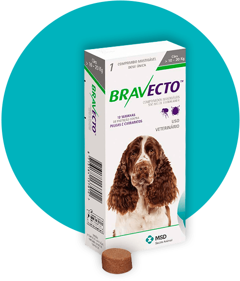 Bravecto 500mg - Bravecto Medium Dog 500mg Green 10kg - 20kg (600x600)