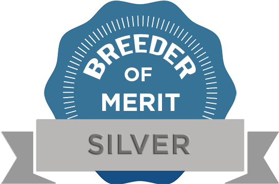 Judie Posner Encore Cockers & Cavaliers - Label (597x360)